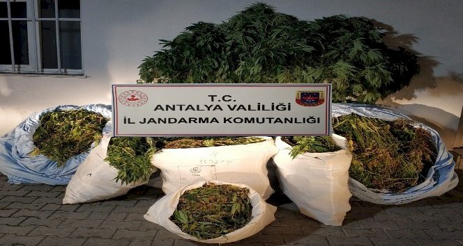 Antalya'da 161 kilo uyuşturucu madde ele geçirildi